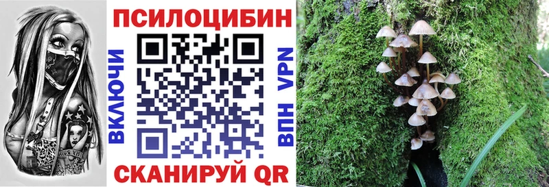 MEGA сайт  Старица  Галлюциногенные грибы Cubensis 